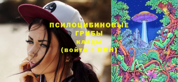 дурь Алексеевка