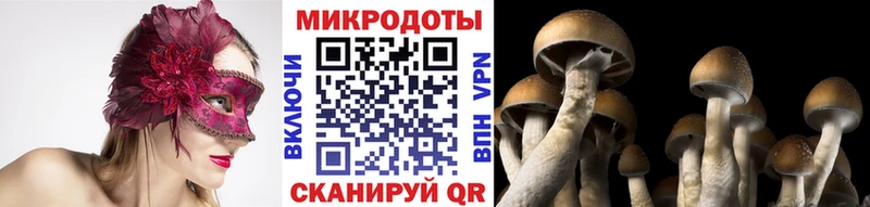 где купить наркоту  Изобильный  Галлюциногенные грибы мицелий 