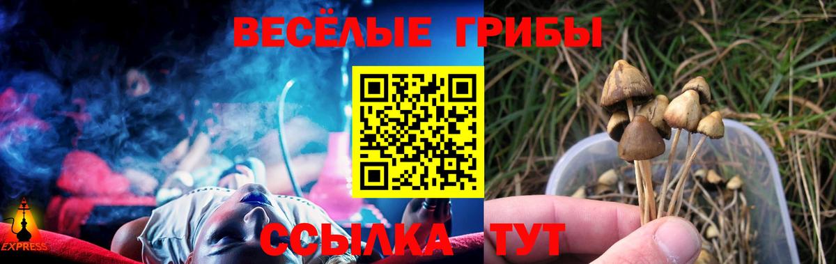 Изобильный  Псилоцибиновые грибы GOLDEN TEACHER  Вход с VPN 